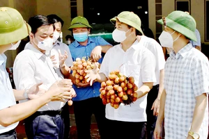 Thương mại điện tử vào cuộc tiêu thụ nông sản