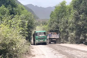 Đường vào thôn Quyết Thắng, xã Trường Xuân, huyện Quảng Ninh, tỉnh Quảng Bình bị cày nát. Ảnh: MINH PHONG