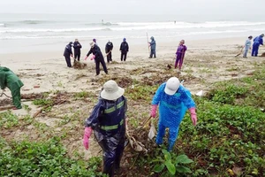 Môi trường biển và hải đảo đang bị ô nhiễm