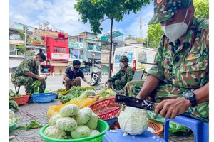 Chuẩn bị phần quà rau xanh gửi tặng bà con khó khăn. Ảnh: HOÀNG HÙNG