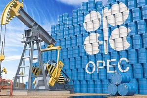 OPEC xúc tiến bổ nhiệm Tổng Thư ký mới