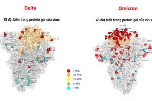 Một dòng phụ của biến thể Omicron đang phát triển nhanh, lan tới 40 quốc gia