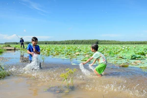 Những ký ức nông thôn 