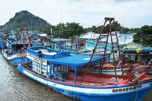 Kiên Giang: Tập trung chống khai thác hải sản bất hợp pháp