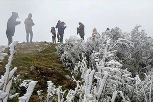 Chủ động ứng phó thời tiết, thiên tai khắc nghiệt có tính chu kỳ