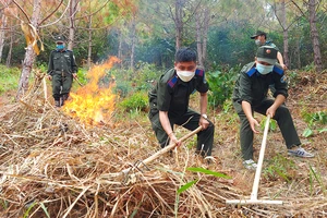 Căng mình canh “giặc lửa”