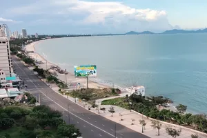 Bà Rịa - Vũng Tàu: Quá hạn vẫn chưa thu hồi được hơn 28ha “đất vàng”