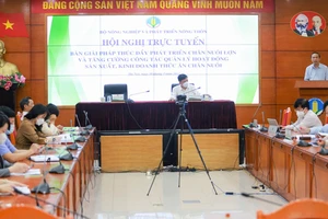 Ngành chăn nuôi bàn giải pháp giảm giá đầu vào của thức ăn chăn nuôi. Ảnh: VGP