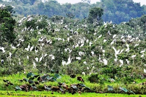 Thúc đẩy đa dạng sinh học