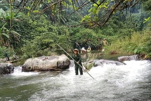 “Biệt đội” giải cứu thú rừng