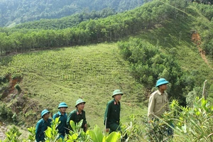 Hồi sinh điểm “nóng” dioxin