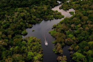 Brazil công nhận 6 khu vực người bản địa