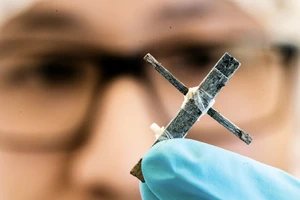 Transistor bằng gỗ đầu tiên trên thế giới