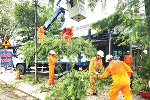 Điện lực Bến Tre phát quang cây xây để ngăn ngừa sự cố lưới điện co mưa bão