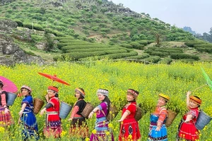 Tour tết giá ổn định, nhiều ưu đãi