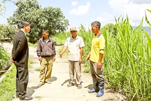 Ông Ma Ren (thứ hai từ phải qua), xã Ka Đô, huyện Đơn Dương, tỉnh Lâm Đồng, là người tiên phong đưa mô hình sản xuất mới về địa phương. Ảnh: ĐOÀN KIÊN