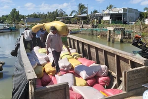 Vụ thương lái mua lúa không trả tiền cho nông dân ở Cà Mau: Đề nghị công an vào cuộc