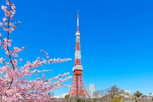 Tháp Tokyo ra mắt tour du lịch cao cấp