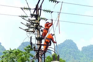 Thủ tướng yêu cầu chủ động giải pháp bảo đảm cung ứng đủ điện phục vụ sản xuất kinh doanh và đời sống nhân dân trong thời gian cao điểm năm 2025 và giai đoạn 2026-2030.