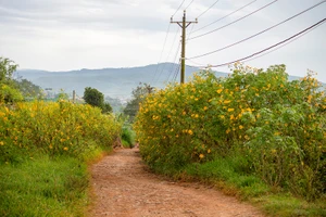 Đại ngàn tháng ba