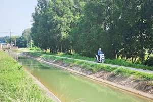 Kênh Đông dẫn nước từ hồ Dầu Tiếng về tưới cho hàng ngàn hécta lúa, cây trái ở huyện Củ Chi, TPHCM
