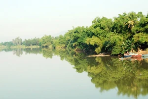 Mẹ và quê hương