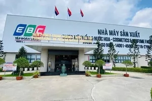 Chuyển hồ sơ cơ quan bảo vệ pháp luật trong trường hợp vi phạm hình sự