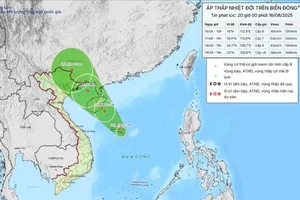 Ảnh: nchmf.gov.vn