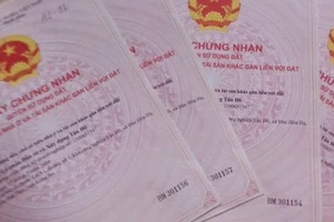 Thế chấp giấy tờ nhà giả để vay tiền