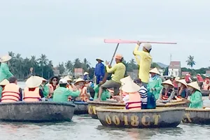 Bát nháo rừng dừa Bảy Mẫu 