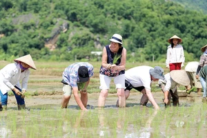 Để du lịch phát triển bền vững cần nâng cao tính chuyên nghiệp từ cơ quan quản lý, doanh nghiệp tới cộng đồng