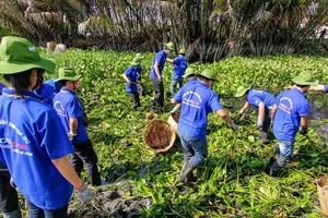 Khởi động giải thưởng Tình nguyện quốc gia năm 2017