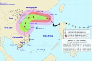 Bão số 11 được dự báo ngoặt về phía Nam