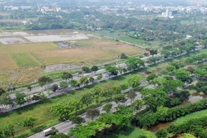 Kiến nghị chuyển mục đích sử dụng đất 35 dự án có diện tích trồng lúa