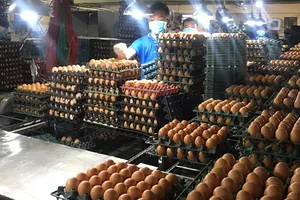 Doanh nghiệp chưa chú trọng xây dựng thương hiệu