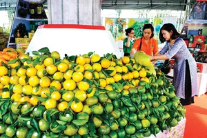 Nhiều đặc sản vùng miền