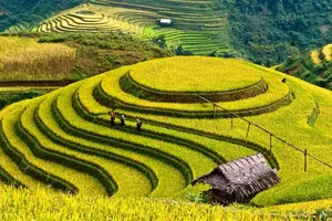 Phát huy tiềm năng ruộng bậc thang Mù Cang Chải lên tầm quốc tế