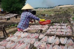 Phạt nặng các cơ sở sử dụng chất cấm trong sản xuất thủy sản khô