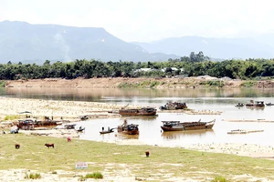 Nạn khai thác cát lòng sông Vu Gia - Thu Bồn gây sạt lở bờ sông