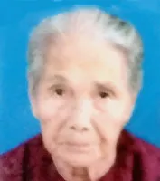 Bà mẹ Việt Nam anh hùng NGUYỄN THỊ NGHĨ