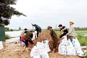 Bộ đội cùng người dân huyện Quốc Oai (Hà Nội) chung sức đắp đê bao ngăn nước lũ sông Tích tràn vào khu dân cư ngày 22-7