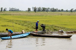 Nông dân Long An gia cố đê bao bảo vệ lúa hè thu Ảnh: KIẾN VĂN