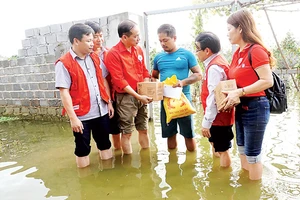 Lo mưa lũ, dịch bệnh hoành hành