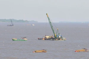 Xử lý nghiêm việc khác thác, kinh doanh cát trái phép