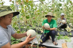 Tuân thủ tiêu chuẩn chất lượng hàng hóa