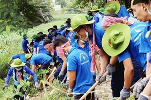 18 tập thể, cá nhân nhận giải thưởng Tình nguyện quốc gia 2018