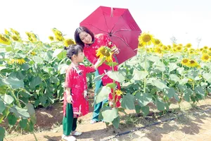 Hoạt động giải trí nhộn nhịp ngày đầu năm