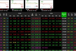 VN-Index giảm gần 21 điểm 