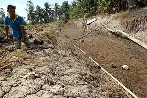 ĐBSCL: Mặn có khả năng xâm nhập sâu 40 - 50km