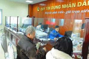 Tăng cường giám sát hoạt động Quỹ Tín dụng nhân dân tại TPHCM